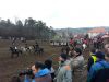 Bitva 2012 Bitva 2012