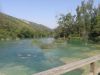 NP Krka NP Krka
